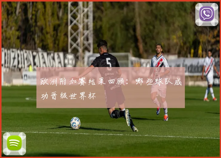 欧洲附加赛结果回顾：哪些球队成功晋级世界杯